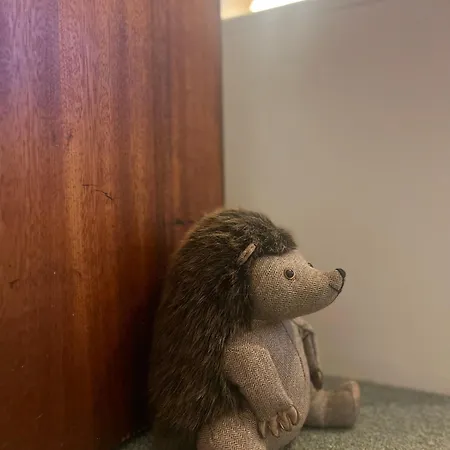 Natterjack - Access To The Western Lakes Ferienhaus